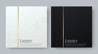 豪华黑白背景，带边框图案