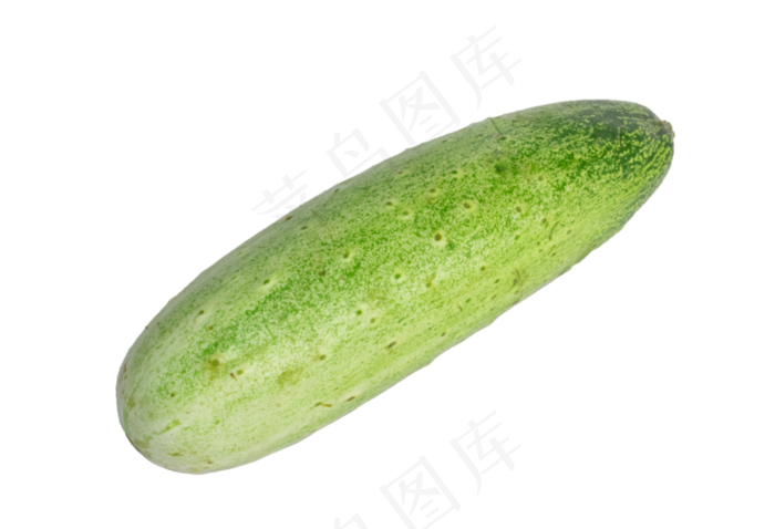 绿色蔬菜西葫芦