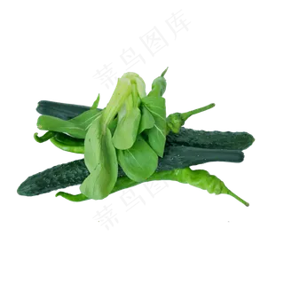 黄瓜小油菜 黄瓜小油菜