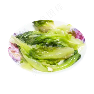餐饮美食生菜 餐饮美食生菜