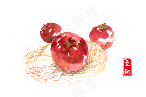 立秋红苹果