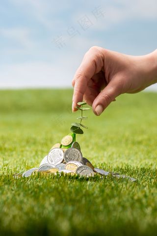 草地上的硬币