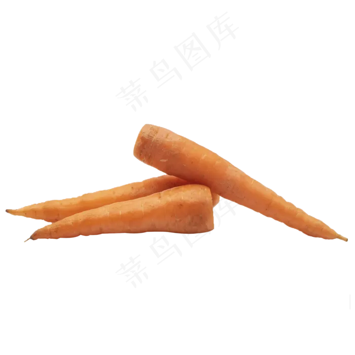 美味蔬菜萝卜(2000X2000(DPI:300))