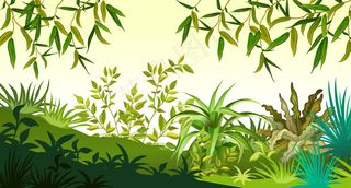 有树叶、树木和草的景观。