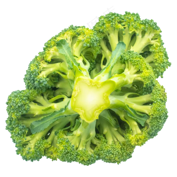 新鲜花椰菜实物(2000*2000px 300 dpi )