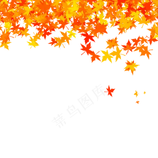 秋天落叶枫叶顶部装饰