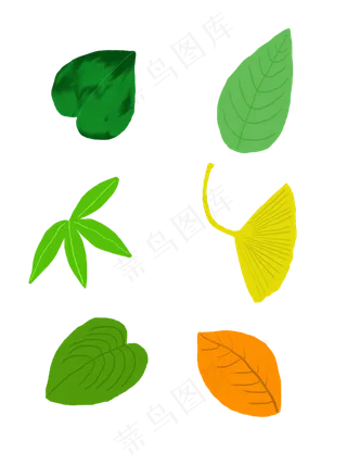 秋天树叶植物可商用元素