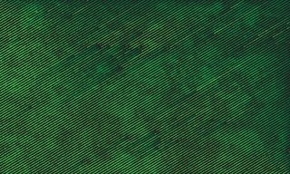 绿色斜格条纹背景