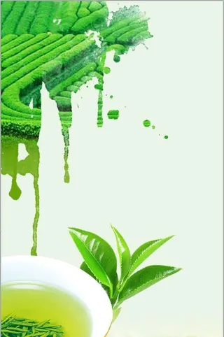 茶叶背景素材