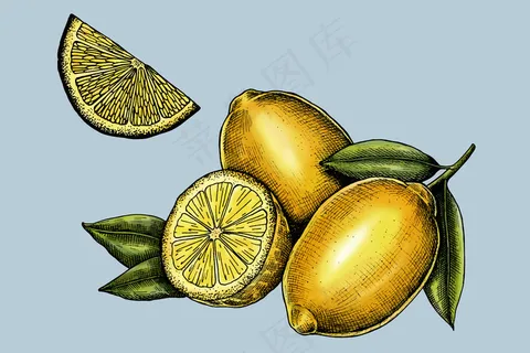 切片新鲜多汁的柠檬矢量 切片新鲜多汁的柠檬矢量