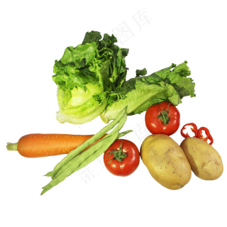 生菜豆角土豆胡萝卜西红柿蔬菜组