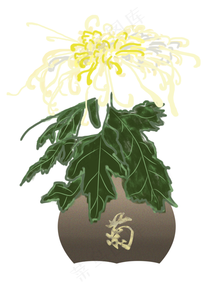 重阳节菊花盆栽png下载(3543X4724(DPI:300))psd模版下载