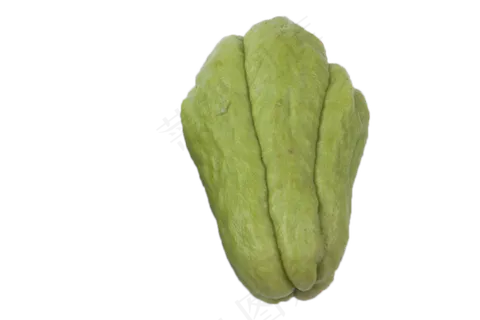 一个纯绿色佛手瓜