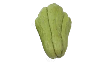 一个纯绿色佛手瓜