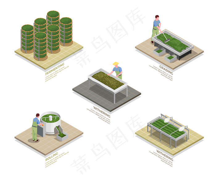 茶业生产过程图解eps,ai矢量模版下载
