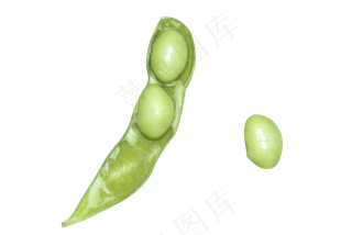 新鲜绿色蔬菜青豆