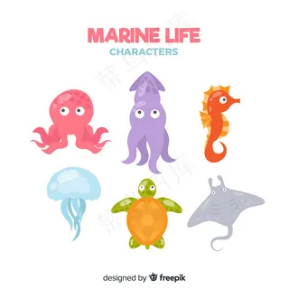 海洋生物特征集