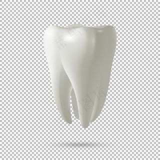 真实矢量齿图标隔离在透明背景上。牙科、医学和健康概念设计元素。