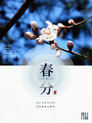 二十四节气春分节气海报