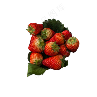 彩色樱桃食物元素