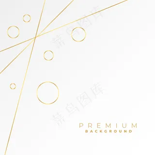 可爱的金色线条和白色背景上的圆圈