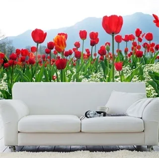 电视墙背景画效果图片