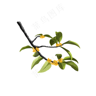 桂花枝条免抠素材