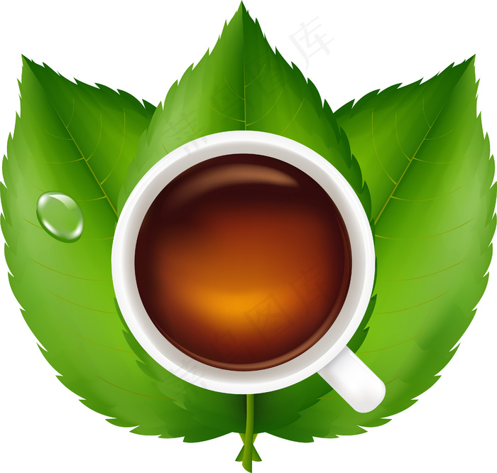 鲜绿叶红茶，白色背景，eps,ai矢量模版下载
