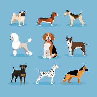 矢量图标狗设置隔离在蓝色背景