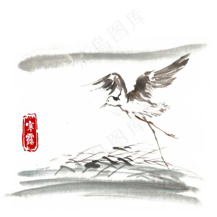 寒露展翅的水鸟(4724X4724(DPI:300))psd模版下载