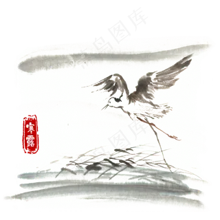 寒露展翅的水鸟