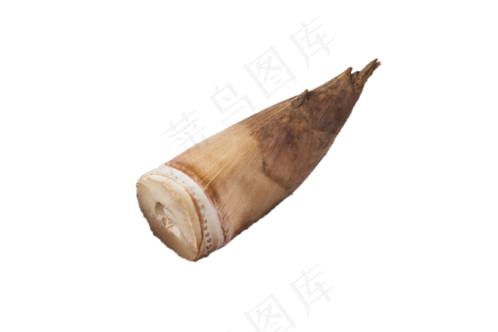 好吃美味营养竹笋