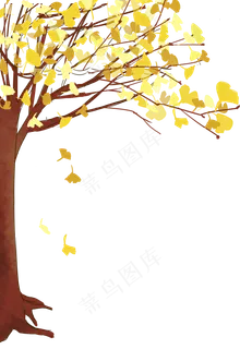 银杏树植物 银杏树植物