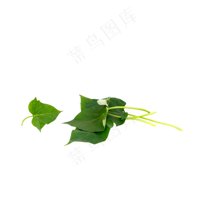 蔬菜番薯叶(2000*2000px 300 dpi )