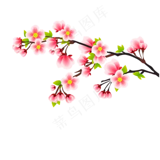 冬天初春梅花樱花