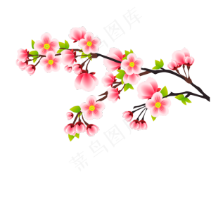 冬天初春梅花樱花