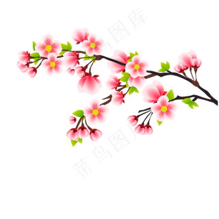 冬天初春梅花樱花