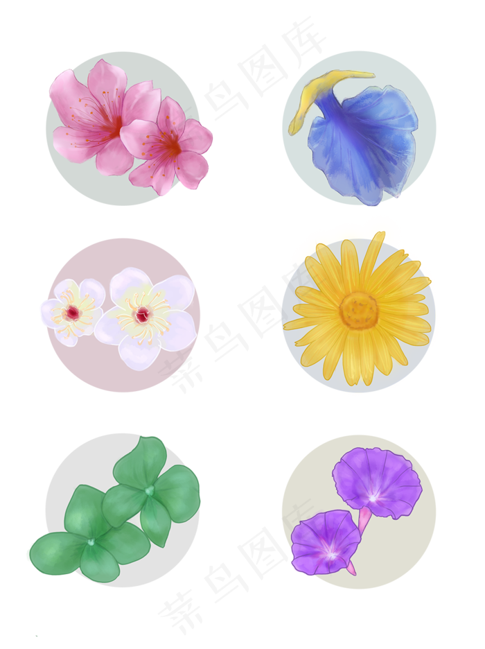 手绘花瓣桃花蝴蝶花梅花菊花绣球