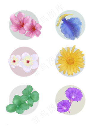 手绘花瓣桃花蝴蝶花梅花菊花绣球