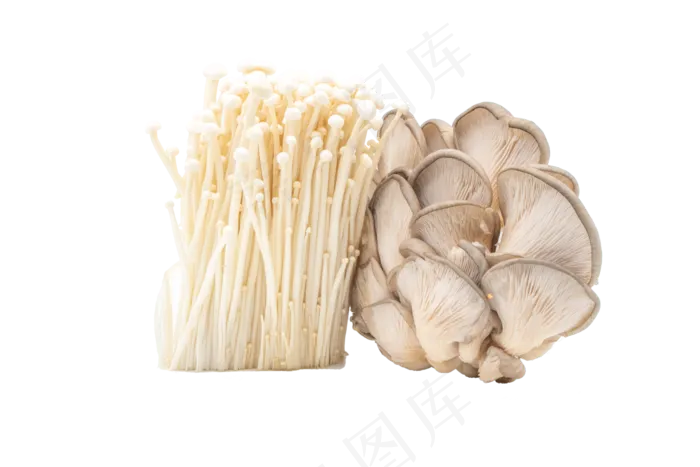 菌类金针菇蘑菇(6000*4000px 300 dpi )