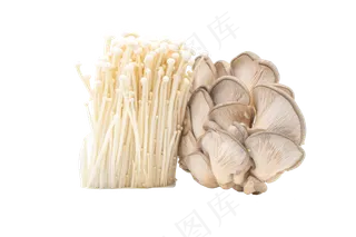 菌类金针菇蘑菇