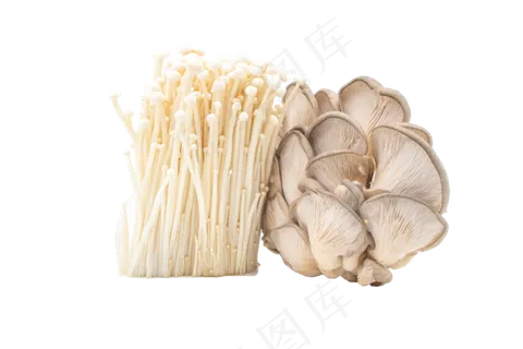 菌类金针菇蘑菇 菌类金针菇蘑菇