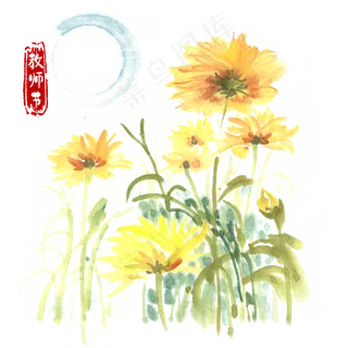 教师节盛开的向日葵