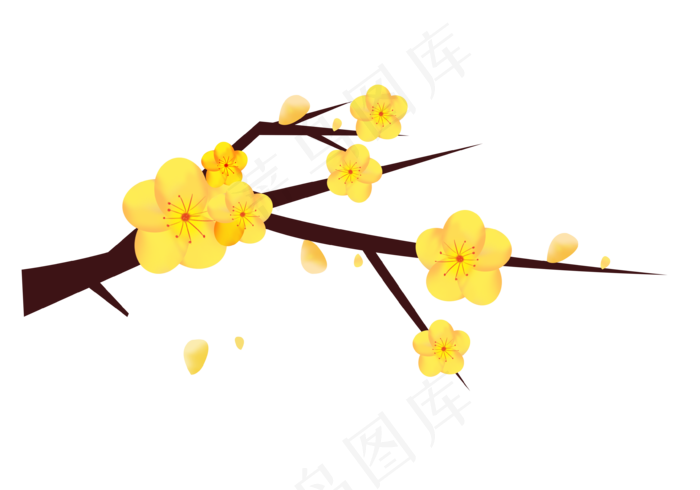 新年冬季腊梅花黄色png下载(3543X2481(DPI:300))psd模版下载