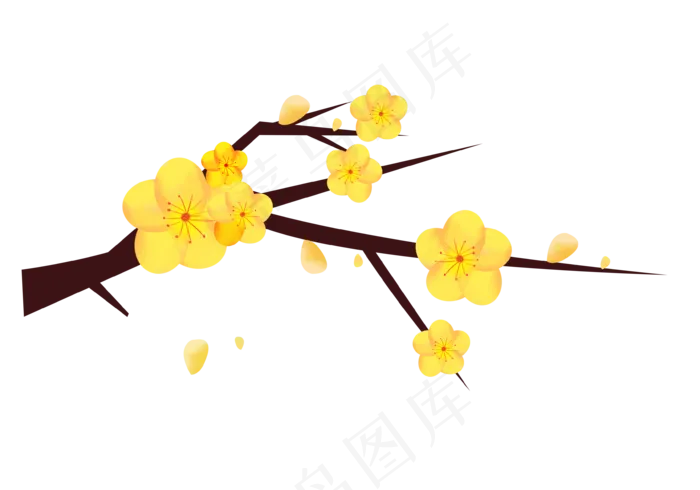 新年冬季腊梅花黄色png下载(3543X2481(DPI:300))psd模版下载
