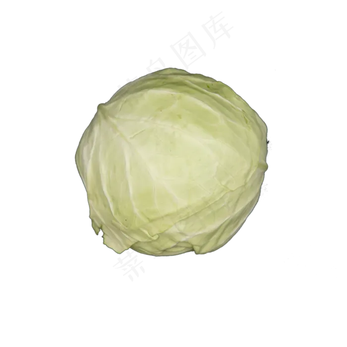 圆白菜实物(2000X2000(DPI:300))psd模版下载
