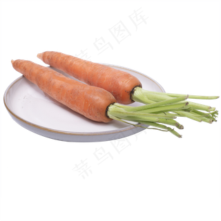 有机胡萝卜