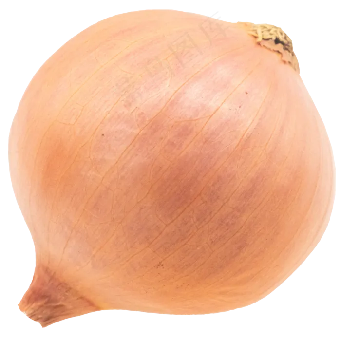 洋葱葱头蔬菜(2000*2000px 300 dpi )