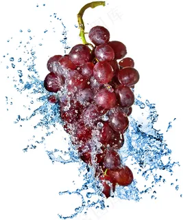 葡萄 提子 水果 葡萄 提子 水果