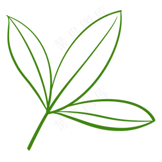 叶子纹路椰子树叶子